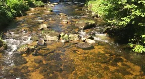 Ballyteige Lodge - Image 2
