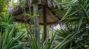 Quinta da Mafalda - Image 3