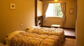 Mountain Lodge Wiz - Image 2