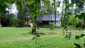 Hornbill Camp - Image 5