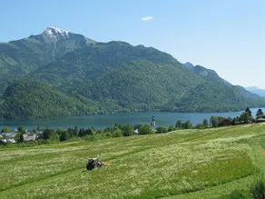 Bichler Josefine - Image 1