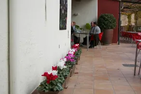 Hostal El Carril - Image 3