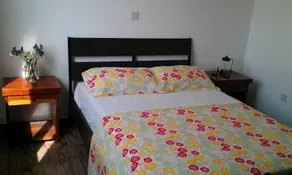 The Nest - Image 1