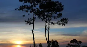 Bali Sunrise Camp & Glamping - Image 5