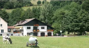 Ferienwohnung Siefert - Image 4