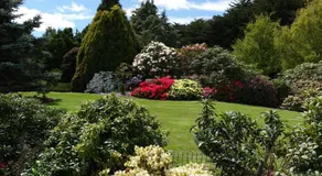 Highgrove - Image 4