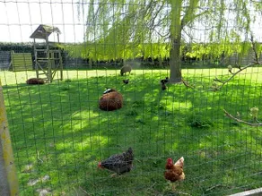 B&B 't Hannonshof - Image 3