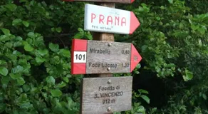 Casa Bel - Image 4
