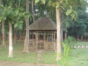 Rose Valley Lataguri Forest Retreat - Image 5
