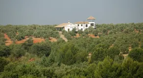MOLINO DE DON FEDERICO - Image 4