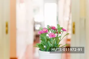 Apartment Barcelona-Fira - Image 3