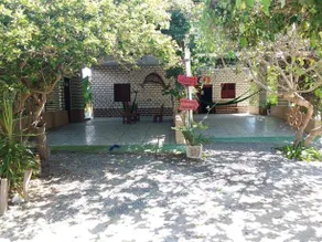 Green House - Image 5