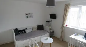 Pleasant spacious room - Image 4