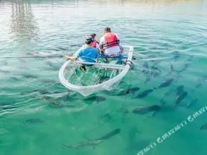 Sanya Fenjiezhou Island Sea Fishing Club - Image 2