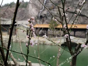 Yang’s Inn - Image 4