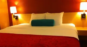 Hotel Lynx - Image 5