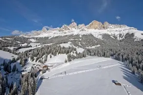 Moseralm Berghotel - Image 4