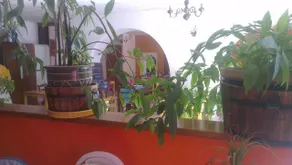 Chez le Poète - Image 2
