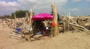Le mas des mourguettes - Image 4