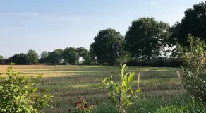 De lütte Moehl - Image 4