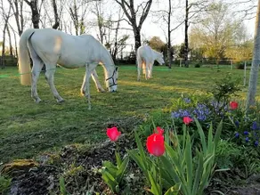 L'instant Jardin - Image 5