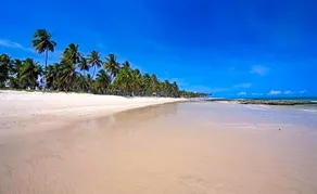 Bangalô Luxo Carneiros Beach Resort - Image 3