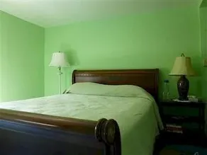 The Alpine Homestead Bed & Breakfast - Image 5