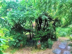 The Garden Room - Image 2