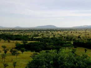 Mbalageti Serengeti - Image 5
