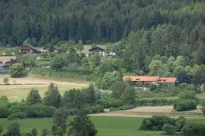 Pension Harrasser - Image 4
