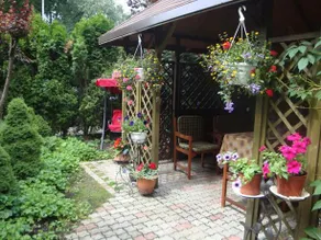 Arabela - Image 2