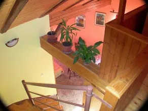 Studio Lavanda - Image 4