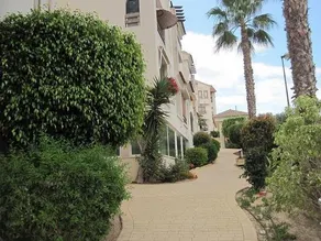 Blue Terrazas Albir - Image 2