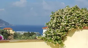 Villa Jone - Image 4