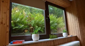 Souterrainappartement - Image 3