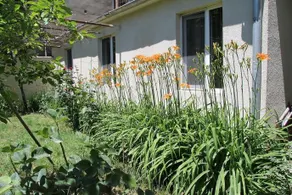 Guest House Nika - Image 4