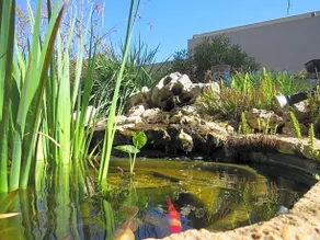 Dror Winery - Image 5