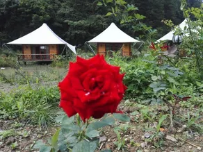 Huaba Rose Valley Tent Hotel - Image 4