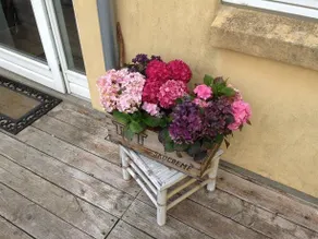 Møllegaardens B&B - Image 2