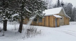 Woodland Retreat - Image 2