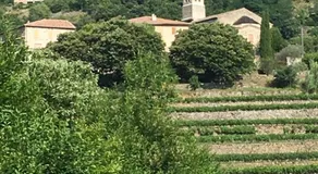 La Terrasse Des Cévennes - Image 3
