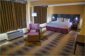 Best Western Plus North Savannah - Image 5