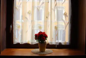 Your Friend in Rome - Image 3