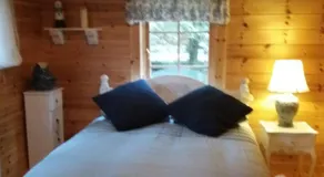 Forest Lodge Log Cabin - Ireland - Image 2