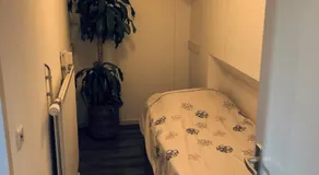 De Baal - Image 5