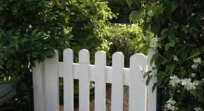 Les Cypres - Image 2