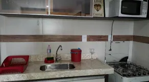 Apartamento em Bananeiras - Image 4