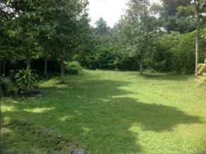 The Merapi Hill Villa - Image 2