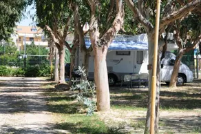 Camping & Village Eucaliptus - Image 3