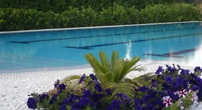 Cosmos Resort - Image 4